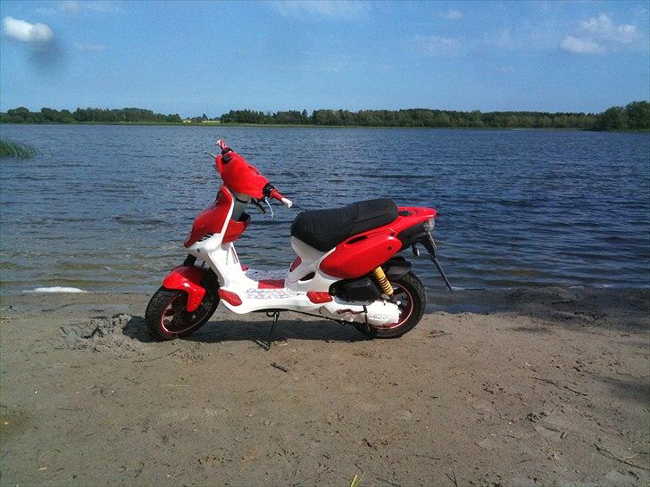 PGO PMX Sport No Fear billede 5