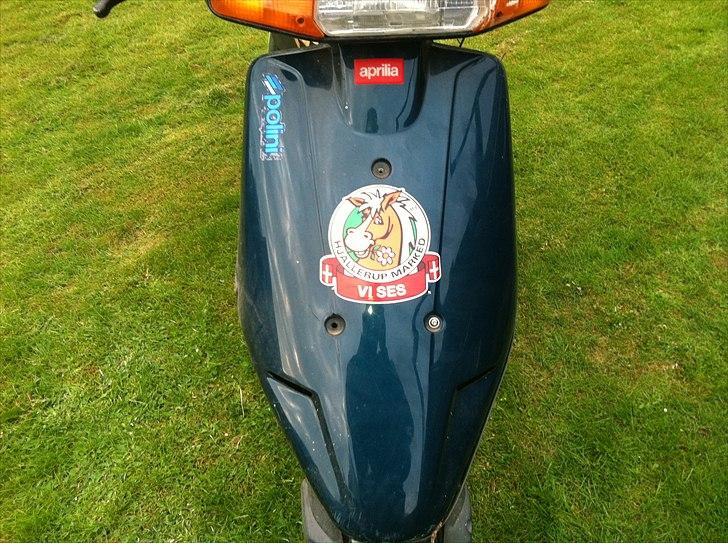 Aprilia Amico billede 4