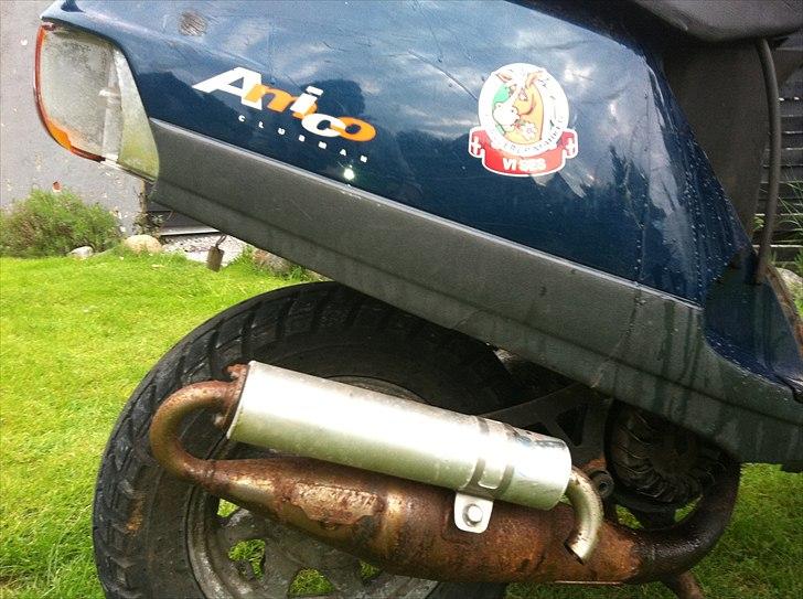 Aprilia Amico billede 6