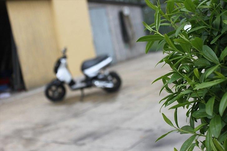 Yamaha Slider Boy' SOLGT 8300,-  billede 5