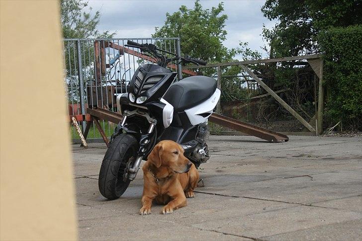 Yamaha Slider Boy' SOLGT 8300,-  billede 4