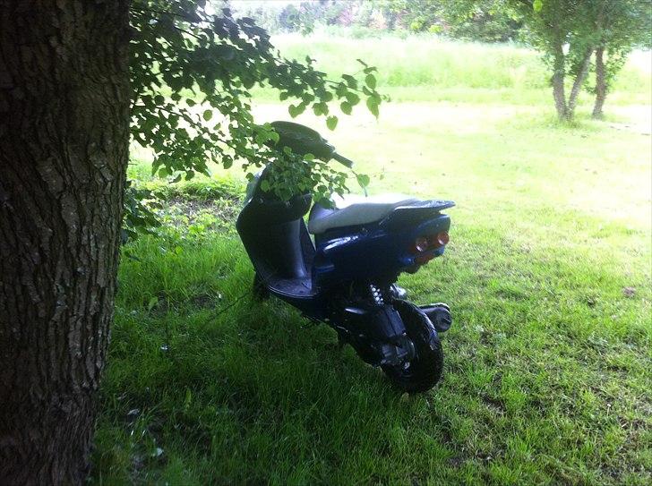 Honda SFX - Autolakering på vej. billede 2