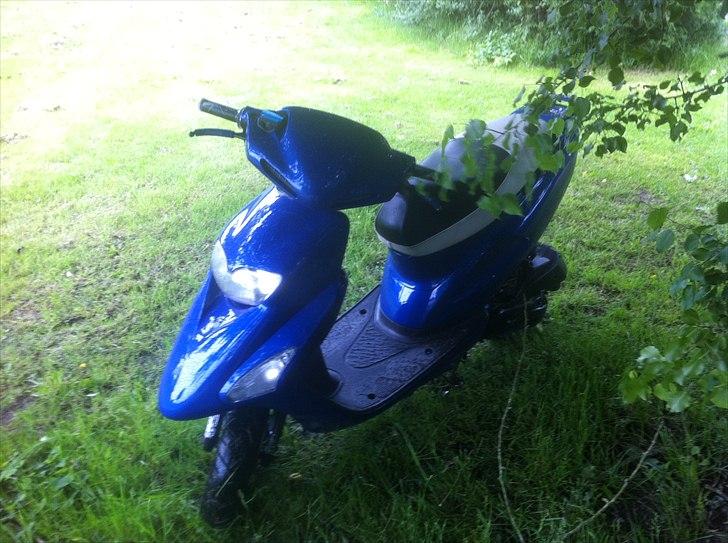 Honda SFX - Autolakering på vej. billede 8