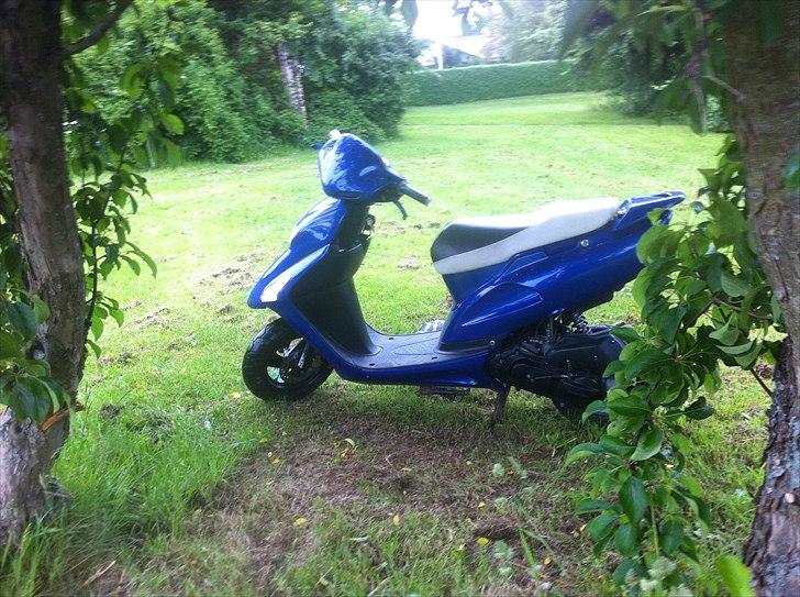 Honda SFX - Autolakering på vej. billede 13