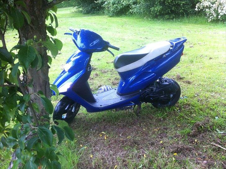 Honda SFX - Autolakering på vej. billede 14