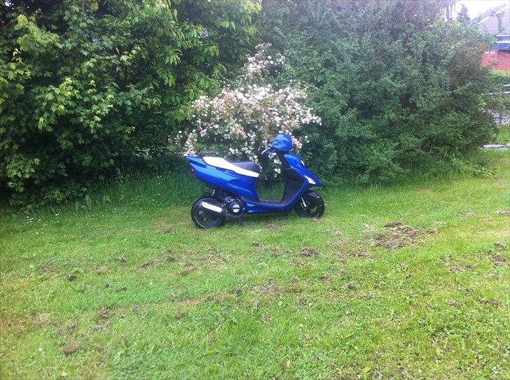 Honda SFX - Autolakering på vej. billede 16