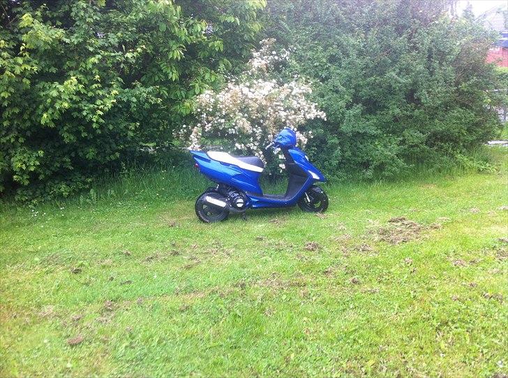 Honda SFX - Autolakering på vej. billede 17