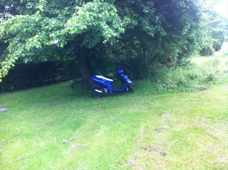 Honda SFX - Autolakering på vej. billede 19