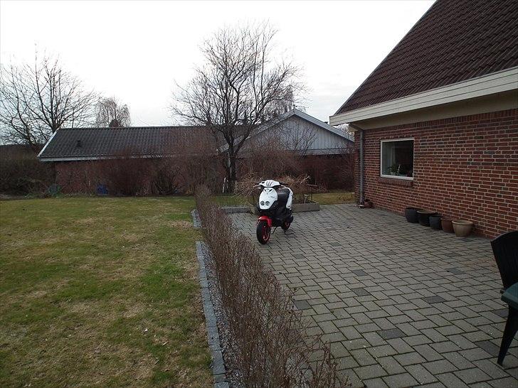 PGO PMX No Fear billede 1