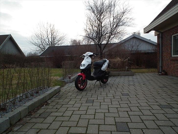 PGO PMX No Fear billede 2