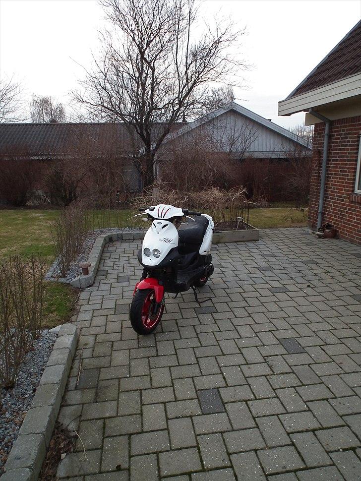 PGO PMX No Fear billede 4