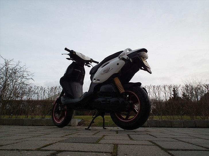 PGO PMX No Fear billede 5