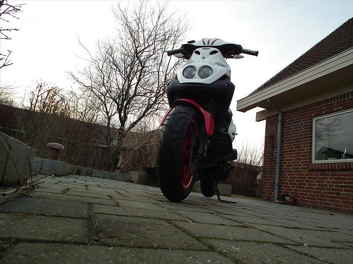 PGO PMX No Fear billede 8