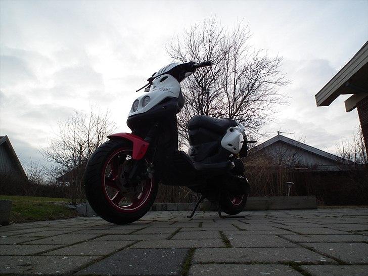 PGO PMX No Fear billede 9