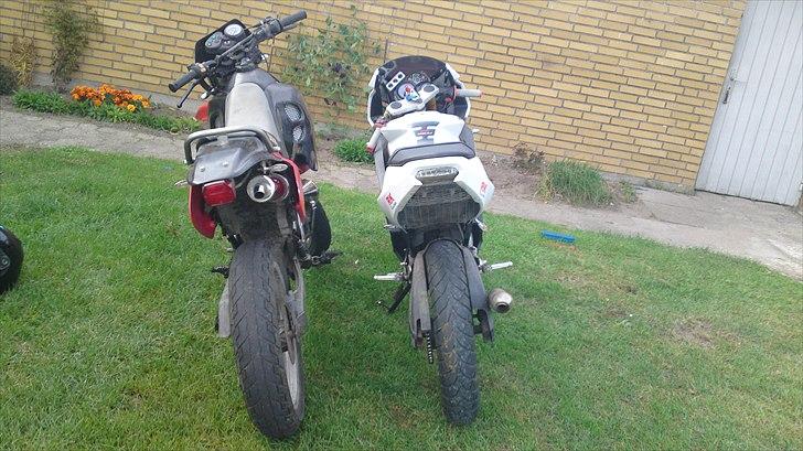 Suzuki Smx solgt billede 4