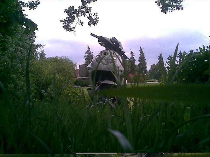 Baotian Rebel 30er billede 2