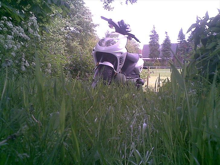 Baotian Rebel 30er billede 3