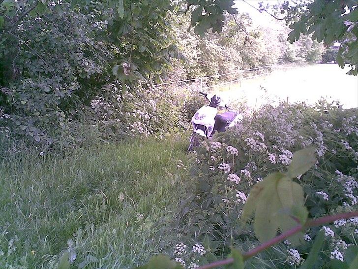 Baotian Rebel 30er billede 5