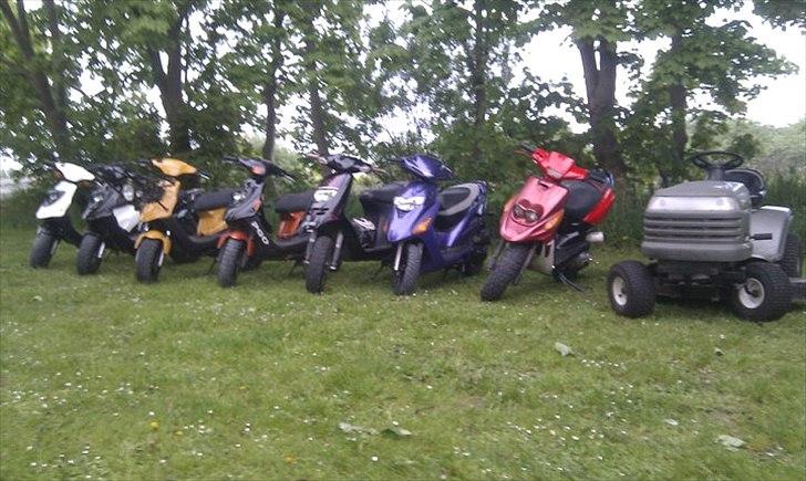 Piaggio Typhoon Solgt ;( billede 10