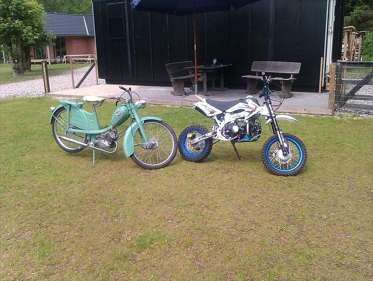 Veteraner Rex 2 Gear billede 10