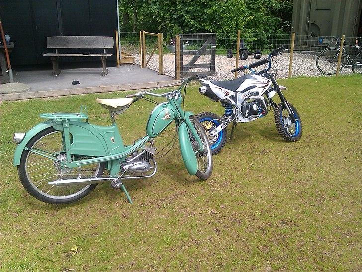 Veteraner Rex 2 Gear billede 11