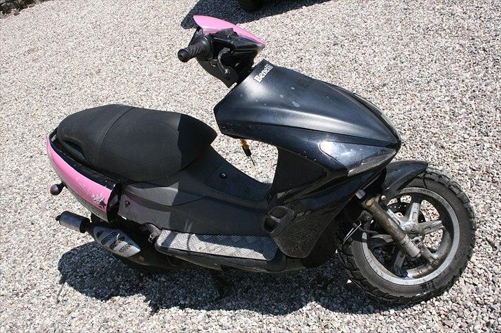 Benelli 491 billede 2