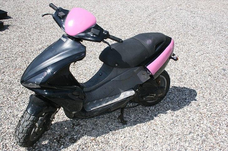 Benelli 491 billede 5