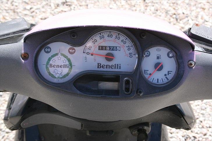 Benelli 491 billede 6