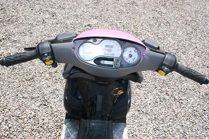 Benelli 491 billede 7