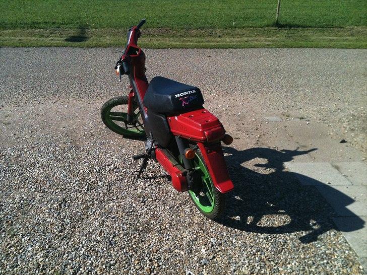 Honda wallaroo byttet til comet billede 3