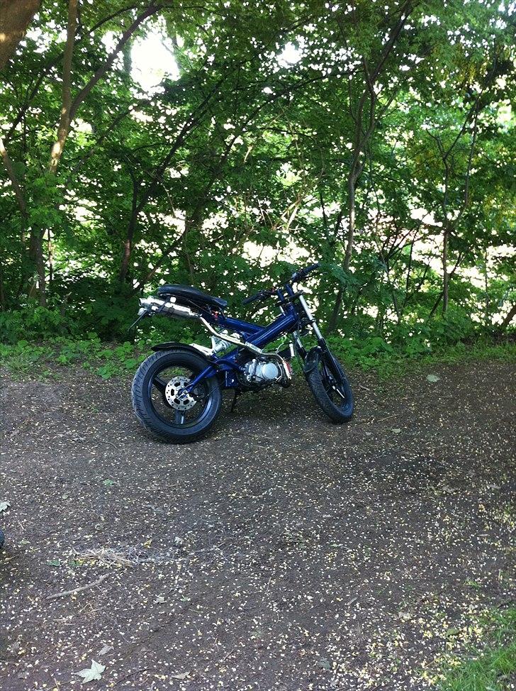 Sachs mad ass billede 8