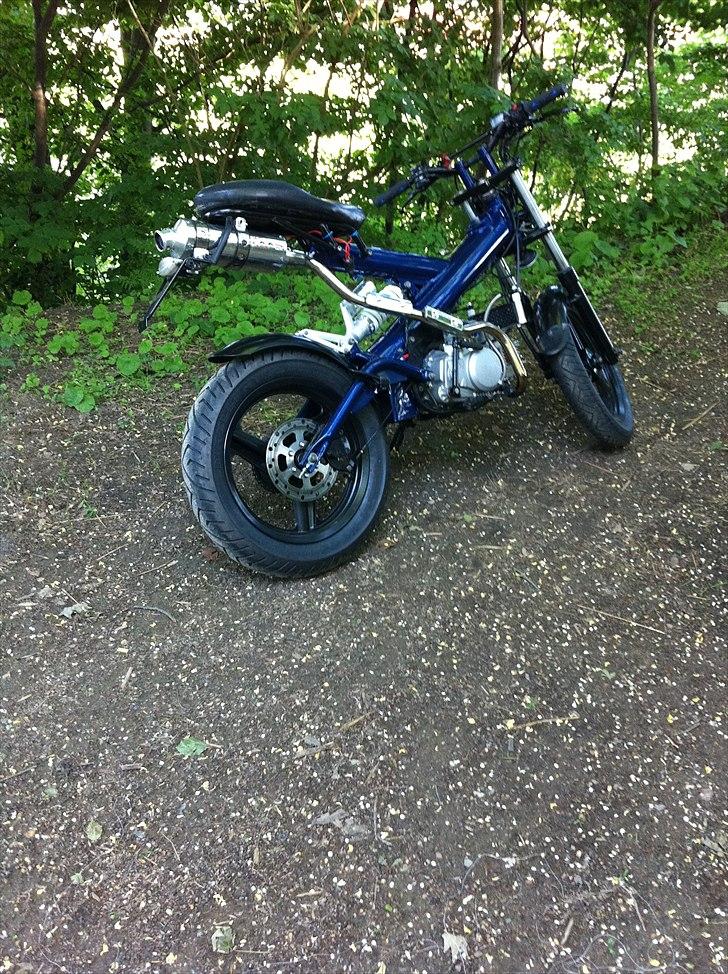 Sachs mad ass billede 9