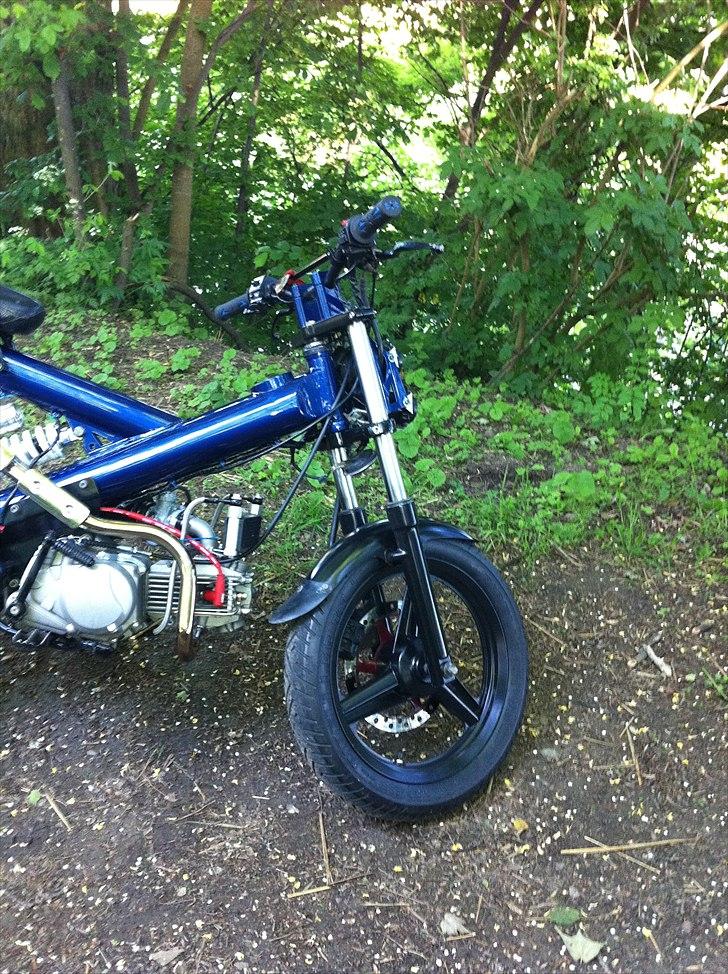 Sachs mad ass billede 10