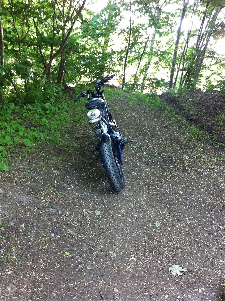 Sachs mad ass billede 11