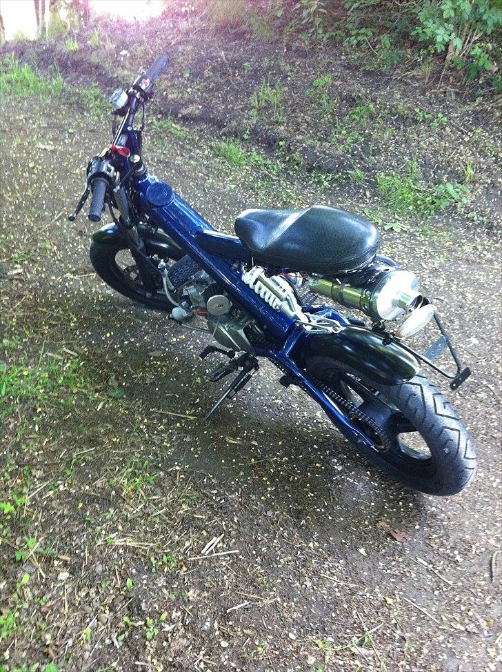 Sachs mad ass billede 12