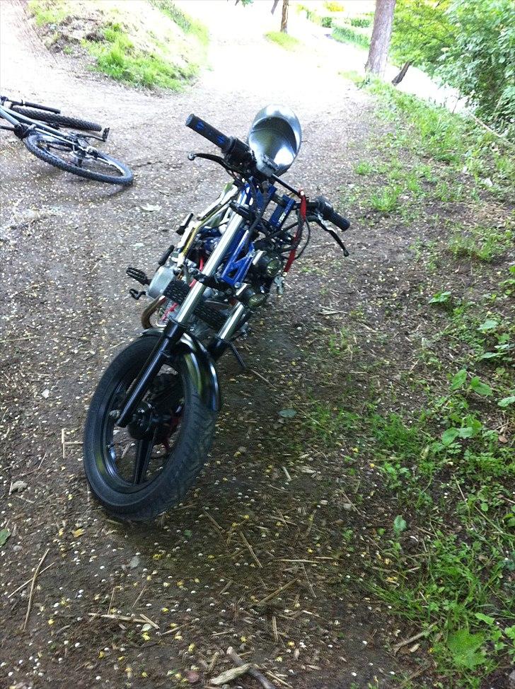 Sachs mad ass billede 13