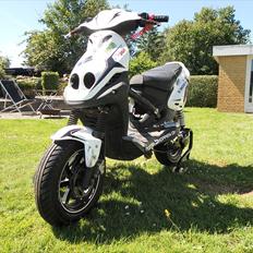 PGO PMX Sport - DMU #12 (SOLGT)