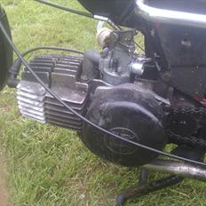 Puch Maxi P (Projekt)