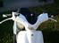 Gilera Stalker