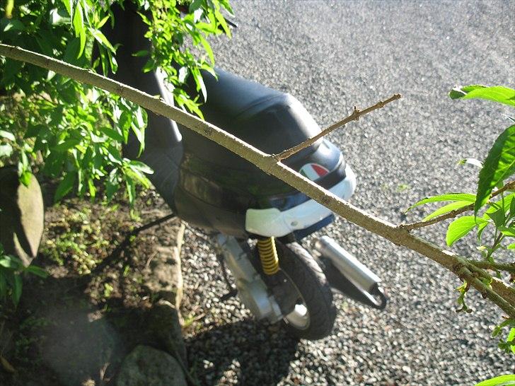 Piaggio Zip Ac #Gone# billede 5