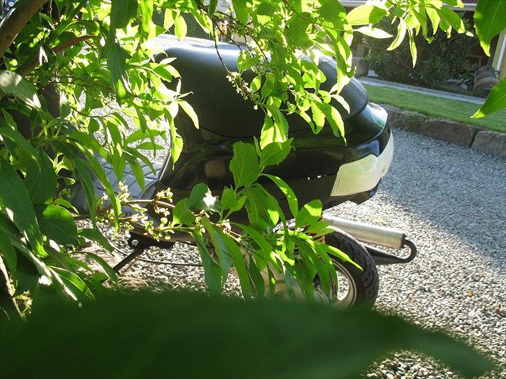 Piaggio Zip Ac #Gone# billede 6