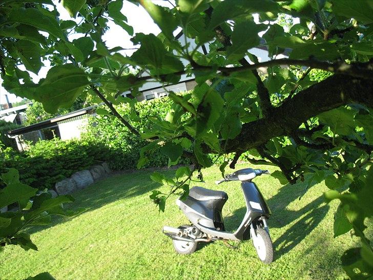 Piaggio Zip Ac #Gone# billede 11