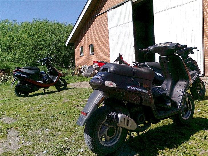 Piaggio Typhoon Solgt ;( billede 3