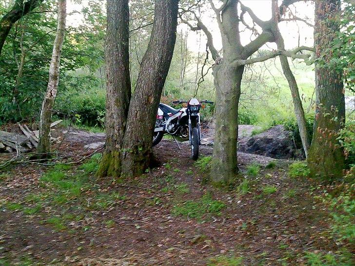 Gilera SMT *SOLGT* billede 11