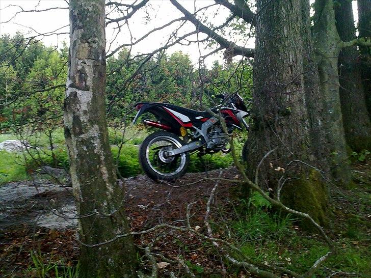 Gilera SMT *SOLGT* billede 12