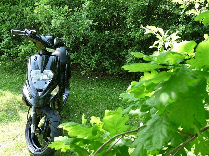 Gilera Stalker billede 8