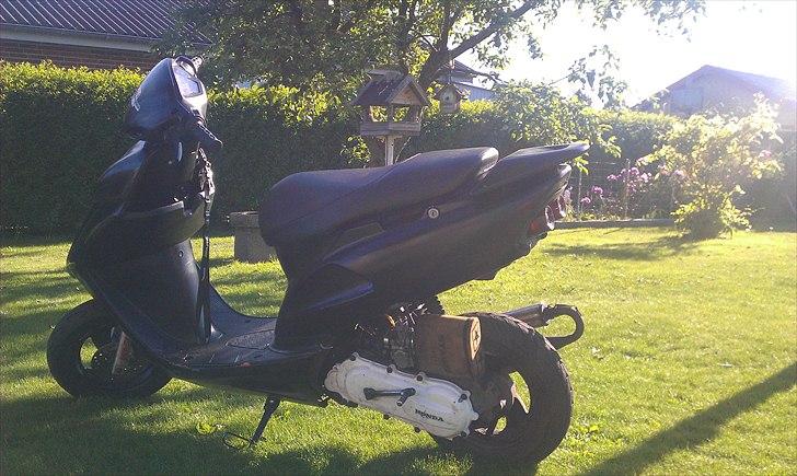 Honda Sfx - Byttet billede 5