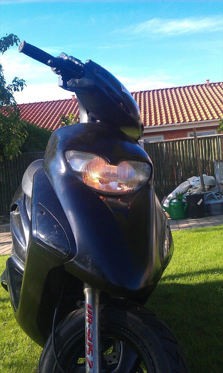 Honda Sfx - Byttet billede 7