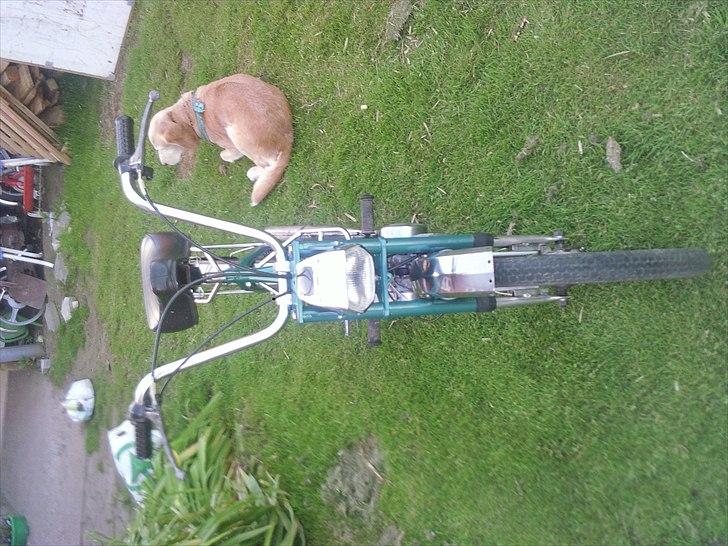 Puch Maxi K billede 5