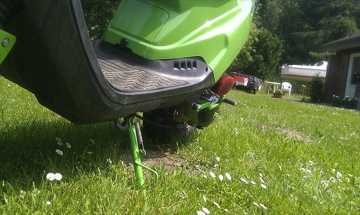 PGO hot50 billede 12